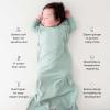 imageKYTE BABY Sleeping Bag for Toddlers  Made of Soft Rayon Made From Bamboo Material  036 Months  05 tog  PrintedEucalyptus