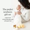 imageKyte BABY Bamboo 3Piece Brush Set  1 Goat Hair Brush 1 Wooden Bristle Brush and 1 Bamboo Comb