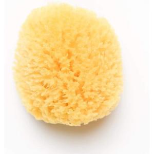 imageKyte Baby Natural Sea Sponge 4 to 5 Inches