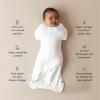 imageKYTE BABY Teddy Bear Swaddle Bag 05 TOGCloud