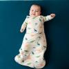 imageKYTE BABY Unisex Rayon Made From Bamboo Sleeping Bag for Babies and Toddlers 10 TogEcru Roar
